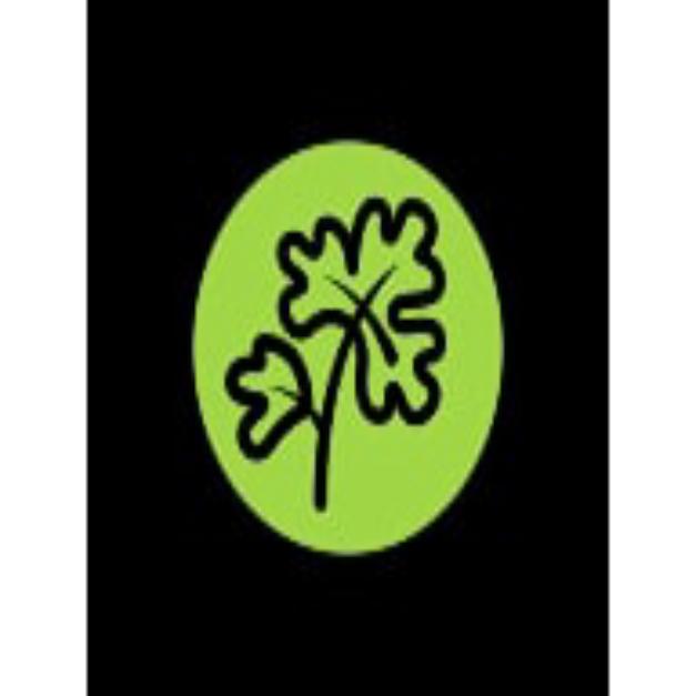 Cilantro Latin Fusion