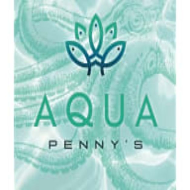 Aqua Penny's