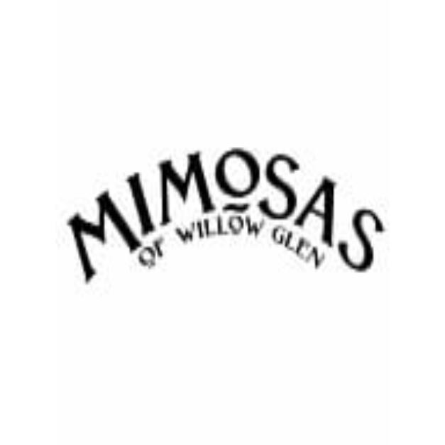 Mimosa of Willow Glen