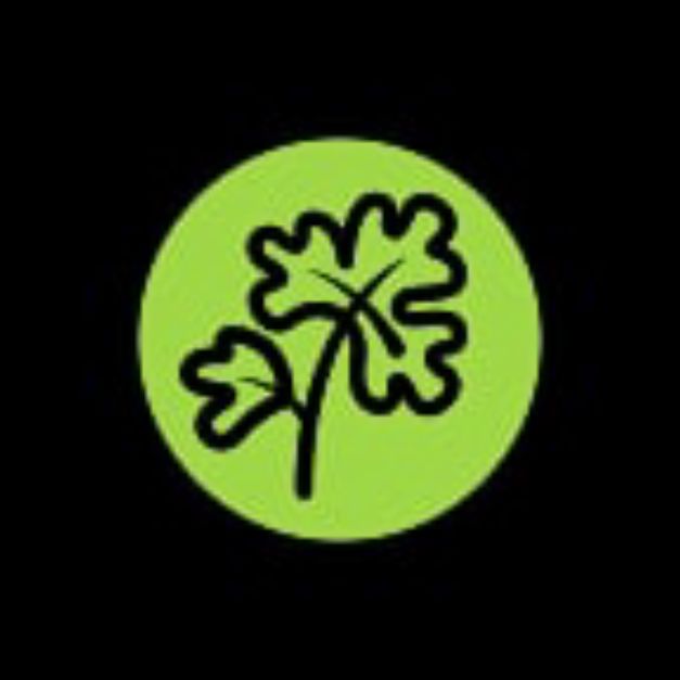 Cilantrolatinfusion offer