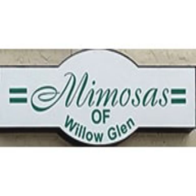 Mimosa of Willow Glen