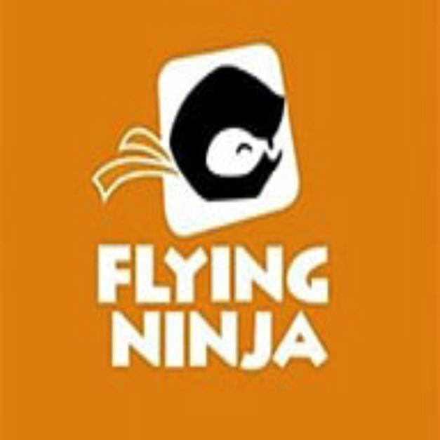 Flying Ninja