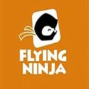 Flying Ninja