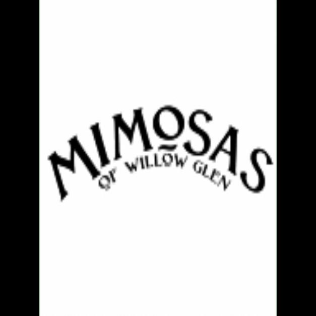 Mimosa of Willow Glen